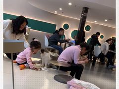 -飞行喵MR PILOT|猫舍·猫咖(静安大融城店)
