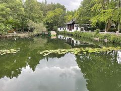 -颐缘居·南翔小笼馆