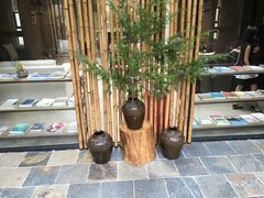 -看见远方·莫干遥远的山民宿