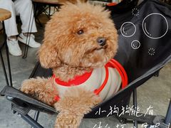 -漫笙舍Manse·咖啡·民宿