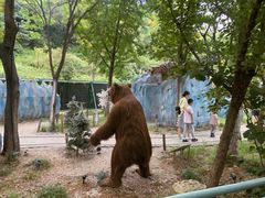 -无锡动物园·太湖欢乐园