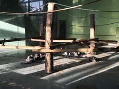 -太原动物园