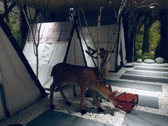 -东方之珠洗浴休闲广场(南开店)