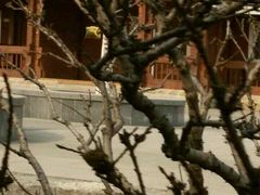 android_upload_pic-永定河休闲森林公园