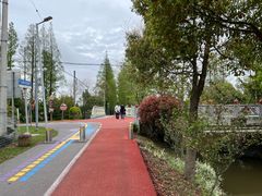 -上海长兴岛郊野公园