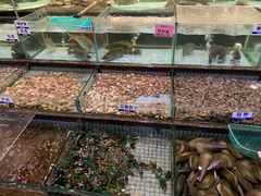 -新海利海鲜城·41年珠海老字号(夏湾店)