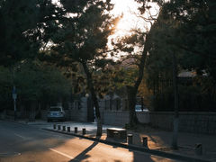 -八大关景区