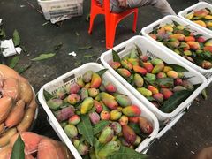 -三亚新鸿港水果一级批发市场