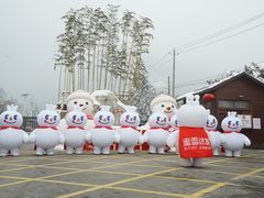 -少华山国家森林公园