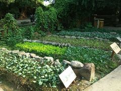 -茂德公草堂