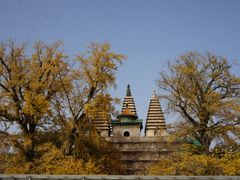 -北京石刻艺术博物馆(五塔寺)