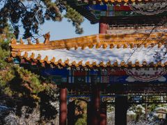 -北陵公园
