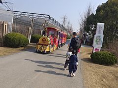 -菊园百果园