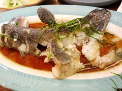 -友强·23年特色海鲜大排档(厦门店)