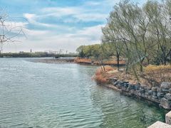 -大兴滨河森林公园