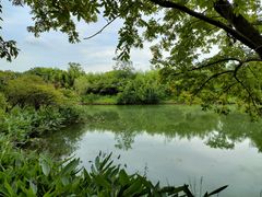 -西溪国家湿地公园