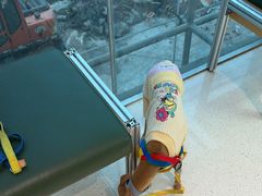 -帕帕拉兹宠物(亚洲旗舰店)