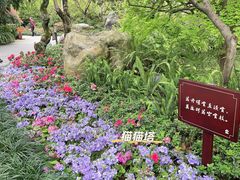 -成都杜甫草堂博物馆