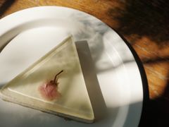 樱花芝士冻-MAISON门前杂货店