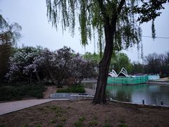 -北京世界公园