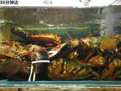 -超级物种(省府店)