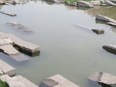 -大望京公园