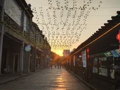 -无影脚佛山陈氏盲公丸始创店(飞鸿街店)