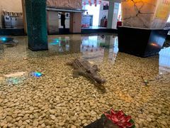 -宝燕海鲜(好爱店)