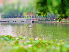 -荔湾湖公园