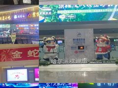 -哈尔滨太平国际机场-T2航站楼