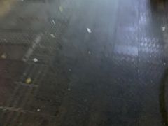 -华林禅寺