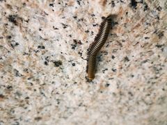 -碓臼峪自然风景区