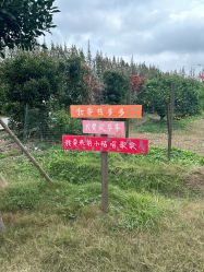 -前小桔亲子创意农场·草莓采摘·露营烧烤