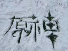 -喜茶(北京通州万达店)