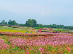 -苏州湾体育公园