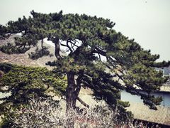-妙峰山风景名胜区