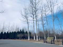 -永定河休闲森林公园