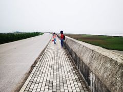 -南汇嘴观海公园