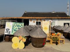 -苏州市吴中区光福窑上花果蜜饯厂