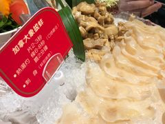 象拔蚌刺身-协成海鲜火锅(情侣路店)