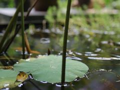 -箱美术馆私房菜(水晶郦城店)