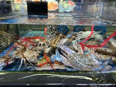 -舟山海鲜·江浙菜(银沙路店)