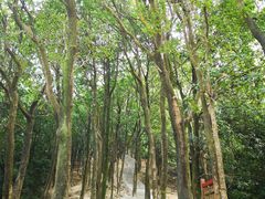 -火炉山森林公园