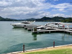 -杭州千岛湖滨江希尔顿度假酒店