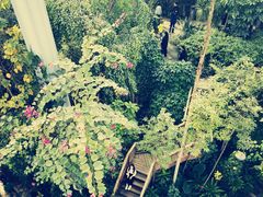 -郑州植物园