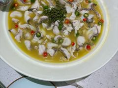 -青花椒花椒鱼(合生汇店)