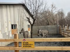 -水上乐园·欢乐世界