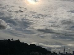 -豪拉基湾