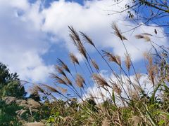 -山王坪喀斯特国家生态公园
