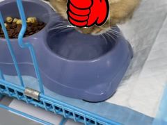 -嘉馨宠物医院·CT影像转诊·心脏科·犬猫全科诊疗中心(下沙大学城院区)